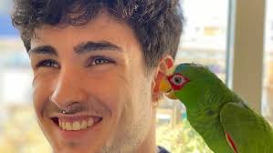 Este loro cantando como Rosalía es “lo más bonito que vas a ver hoy”