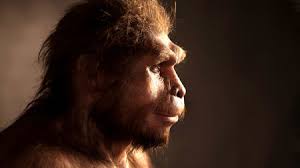 The denisovan mandible likely represents the earliest hominin fossil on the tibetan plateau, researchers say. Ancient Human Species Made Last Stand 100 000 Years Ago On Indonesian Island Science Aaas