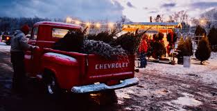Maybe you would like to learn more about one of these? Christmas Tree Farms In New Jersey A 2020 Guide New Jersey Digest Magazine