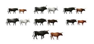 25 kostenlose bilder zum thema auerochse. Auerochse Wikipedia