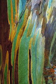 September 2012 Colour Style Design Blog Nature Art Patterns In Nature Art