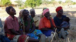 We did not find results for: Same Script Different Cast A Tale Of Zambia S Constitutional Making Process Ohrh