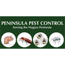 Technicians look for potential pest hideouts and nests: The Best 10 Pest Control In St Catharines On Last Updated April 2021 Yelp