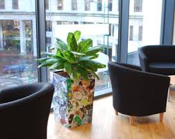 Recycled plastic plant pots uk. Acorn Plant Displays Birmingham S Finest Office Plant Displays And Interior Lanscaping Supplier