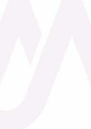 Image result for Pachylobus osika