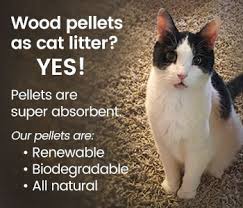 I don't want him to upset the other cats i have, he may be sick, and he's not inside all the time and it won't be permanent. Can You Use Wood Pellets For Cat Litter Energy Pellets Of America