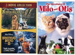 Maybe you would like to learn more about one of these? Amazon Com A Curious Kitten And Puppy Dog Milo Otis Homeward Bound Disney Incredible Journey Lost In San Francisco Triple Feature Dvd Bundle Movies Tv