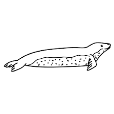Learn How To Draw Animals Step By Step Page 132 Biologists have been able to determine the last meal of a seal by analyzing. learn how to draw animals step by