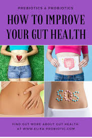 Are Probiotic Supplements Effective Best Probiotic Supplement Consumer Reports Best Probiotic Supplement Probiotics Probiotics Supplement Best Best Probiotic