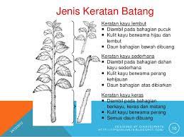 Check spelling or type a new query. Laporan Minggu 5 Keratan Batang