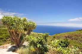Wettervorhersage in tenerife für heute, morgen und übermorgen. Wetter Kanaren Wetterprognose Und Wettervorhersage