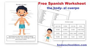 Free Spanish Worksheet To Learn The Parts Of The Body Homeschool Spanish Spanish Worksheets Kindergarten Worksheets Printable
