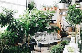 Planet earth garden supply offers grow tent packages, hydroponic systems, nutrients and bulk pricing. 30 Of The Cutest Plant Shops Around The World