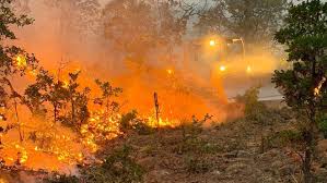 Oregon nears all-time wildfire acreage record as 2026 fires top 2 million acres