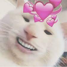 1920x1080 seed of chucky 1st images chucky + tiffany hd wallpaper and background photos. Cursed Cat Cute Selfie Notmyrodrick Instagram Meme Cursedimage Cursedimages Kittens Mintycitrus Vsco