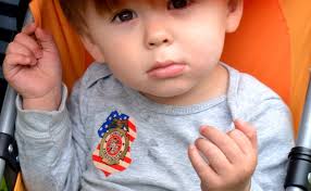 2016 County Fair: In Review