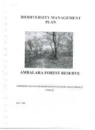 Image result for Aspidoglossum hirundo