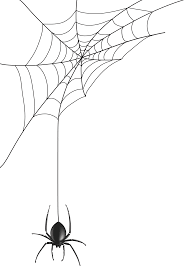 Spider Web Png Clip Art Image Gallery Yopriceville High Quality Images And Transparent Png Free Clipart Spider Web Drawing Spider Art Spider Drawing