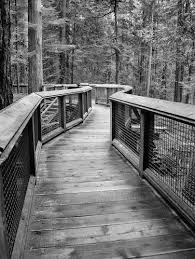 Black And White Frame Landscape Black And White Boardwalk Photo Of Board Walk Home Decor Wall Decor Black And White Square Prints Black Frames Landscape Photography Landscape Photography Best Landscape Photography Black White Landscape