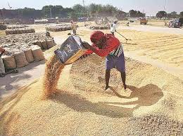 Chhattisgarh accounts for 15% of the total steel produced in the country. Chhattisgarh Sets Food Grain Production Target At 9 5 Mn Tonnes For 2020 21 Business Standard News