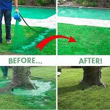 Hydroseed is okay but there is no magic in hydroseed. Hydro Mousse Liquid Lawn Components And Tips Decor Or Design