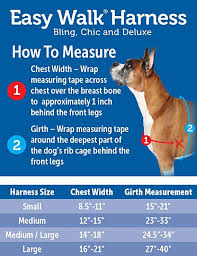 halti size chart buurtsite net