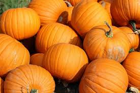 Todo Sobre La Calabaza Propiedades Beneficios Y Su Uso En La Cocina