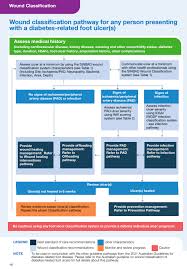 Image result for IDSA Diabetic Foot Wound Classification