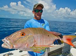 Current fishing seasons and closures (noaa website) red snapper season. Mutton Snapper Spawn Key West Fishing Report
