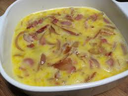 dukan t recipe onion cheese and
