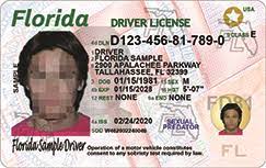 Florida's NEW Driver License and ID Card - Florida Department of Highway Safety and Motor Vehicles