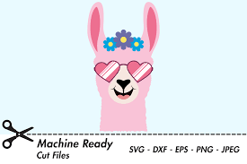 This is a personal use file, not. Cute Girl Llama Face With Shades Graphic By Captaincreative Creative Fabrica