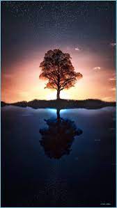 Find the best cool nature backgrounds on wallpapertag. Wallpaper Click Here To Download Nature Wallpaper Download Cool Nature Wallpapers Neat