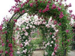 And canada, then put it to a reader vote to. Beautiful Rose Gardens French Beauty Mark The Rose Garden At L Hay Les Roses Paris Rose Garden Design Rose Garden Flower Garden