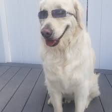 Otis would like to say happy Mother's Day to everybody