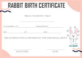 Birth Certificate Place In Jackson Ms Number Rabbit Birth Certificate 10 Certificates Free To Print And Download Template Sumo Birth Certificate Template Birth Certificate Birth