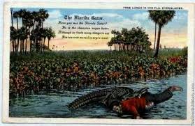 Black Babies Alligator Bait Gator Bait Postcard Very Disturbing Black Babies Alligator Black Kids