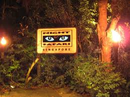 Singapore's 'nightlife' is truly wild! Singapur Nachtzoo Singapore Night Safari Tiere Offnungszeiten Preise
