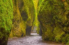 Here S The Top Ten Best Places To Visit In Oregon That Oregon Life