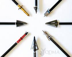 Check spelling or type a new query. Does Broadhead Choice Really Matter Nda