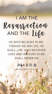 Quotes Christian Hope Bible Verses 25 Ideas Hope is being able to see that there is light despite all of the darkness. annalee quotes magazine