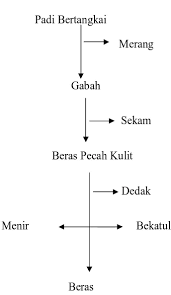 Skema kegiatan ekonomi pengolahan padi menjadi beras. Analisis Nilai Tambah Penggilingan Padi Di Ud Cahaya Indah Di Kabupaten Banyuwangi