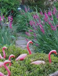 Felder S Front Yard Flamingo Garden Front Yard Small Garden
