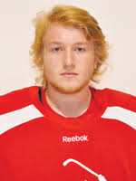 New Hampshire Division 2 Capsules