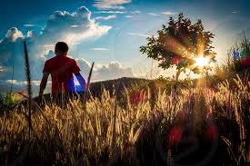 Silhouette Photo Of Man Walking On Grass Field Near Tree Under Blue Sky During Daytime By Froi Rivera Photo Stock Snapwire Series of the streets with people in the old city. snapwire