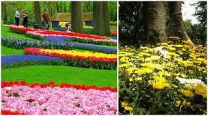 16 Taman Pustaka Bunga Via Aprillia Putrie Wisatadibandung Net Stuff To Do Things To Do Family Fun