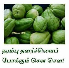 Gardeningtipsdecember Health Tips Natural Health Care Hygienic Food