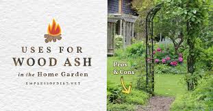 We did not find results for: Is Wood Ash A Good Soil Amendment Empress Of Dirt