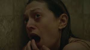 Steven Chester Prince filmografia