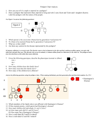 pedigree worksheet